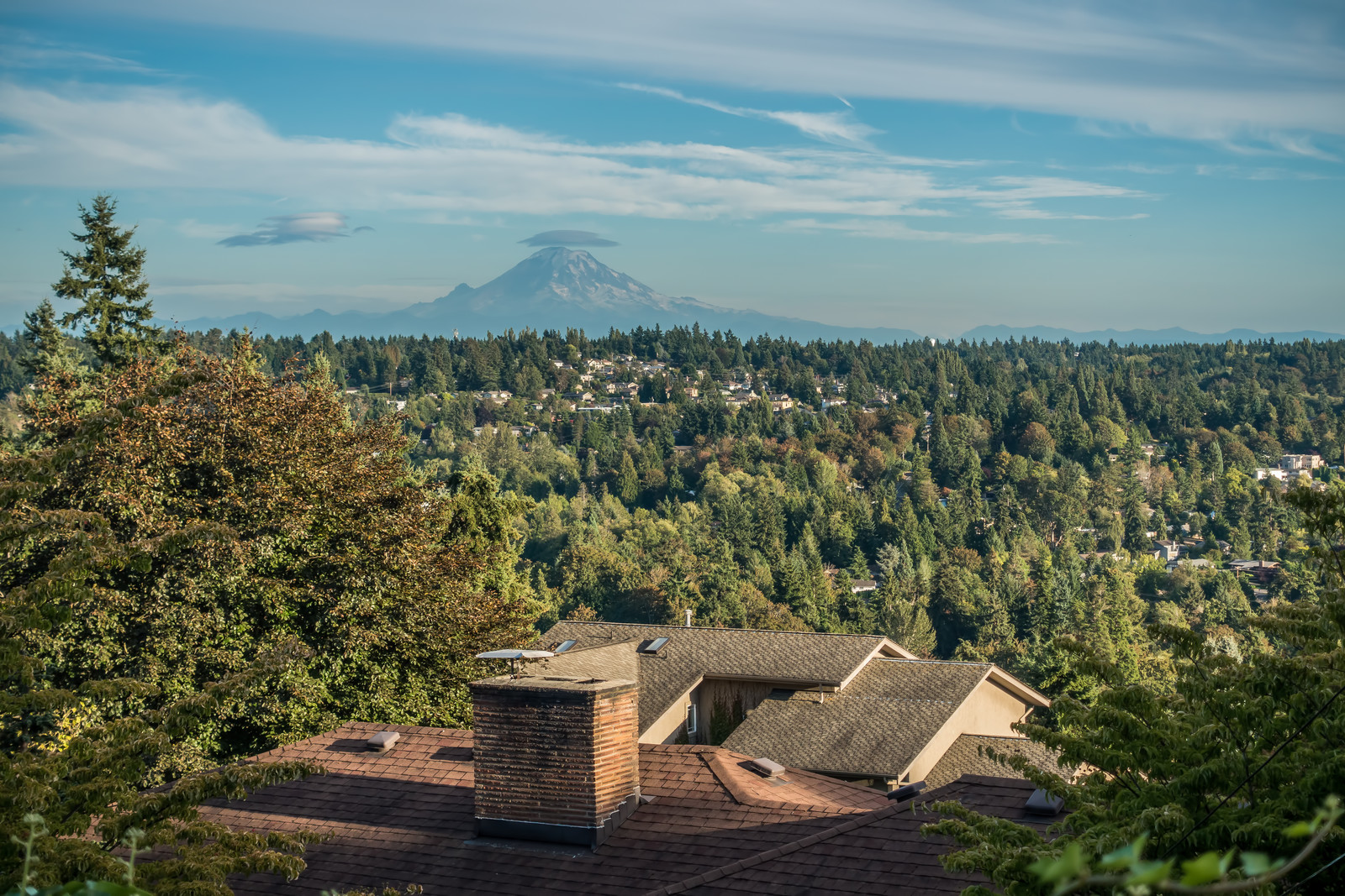 Fast, simple, and stress-free moves for families and businesses in Kent, WA