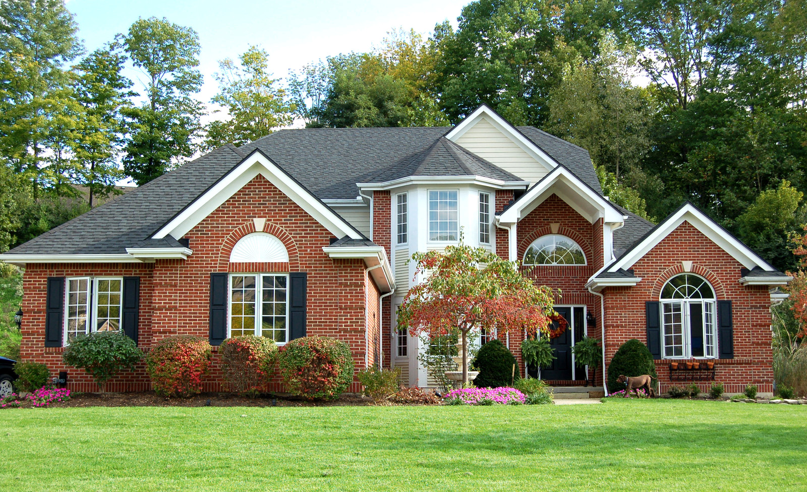 Making moves stress-free, simple, and fast for families and businesses across West Bellevue, WA